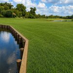 Timber Bulkhead